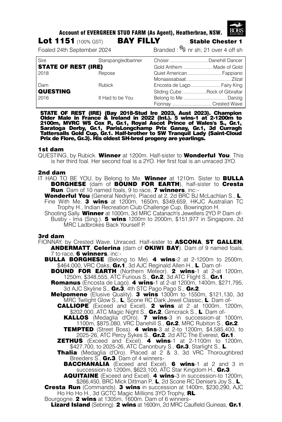 Pedigree - Lot 1151