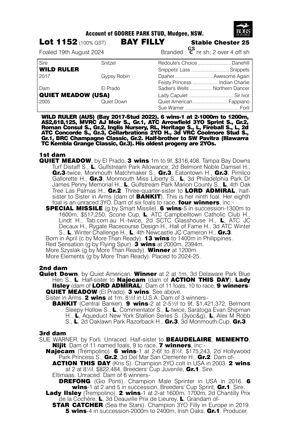 Pedigree - Lot 1152