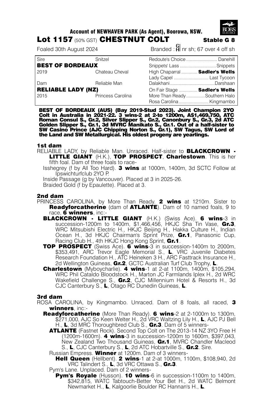 Pedigree - Lot 1157