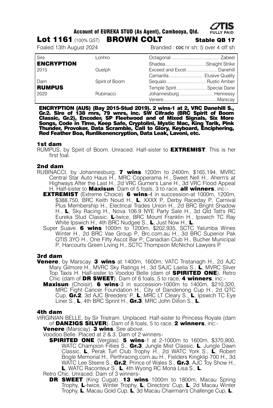 Pedigree - Lot 1161