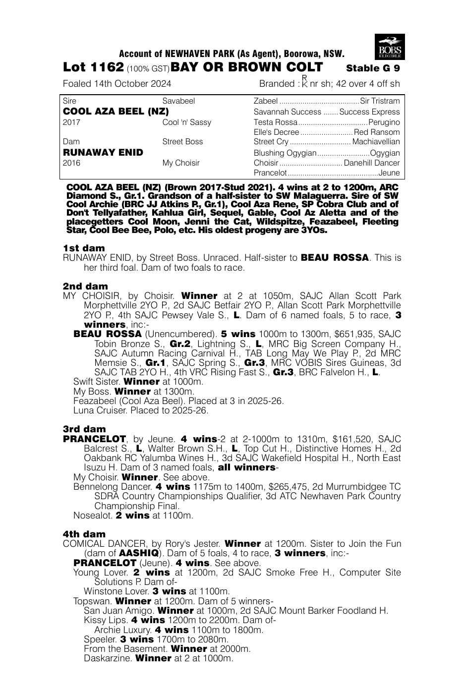Pedigree - Lot 1162