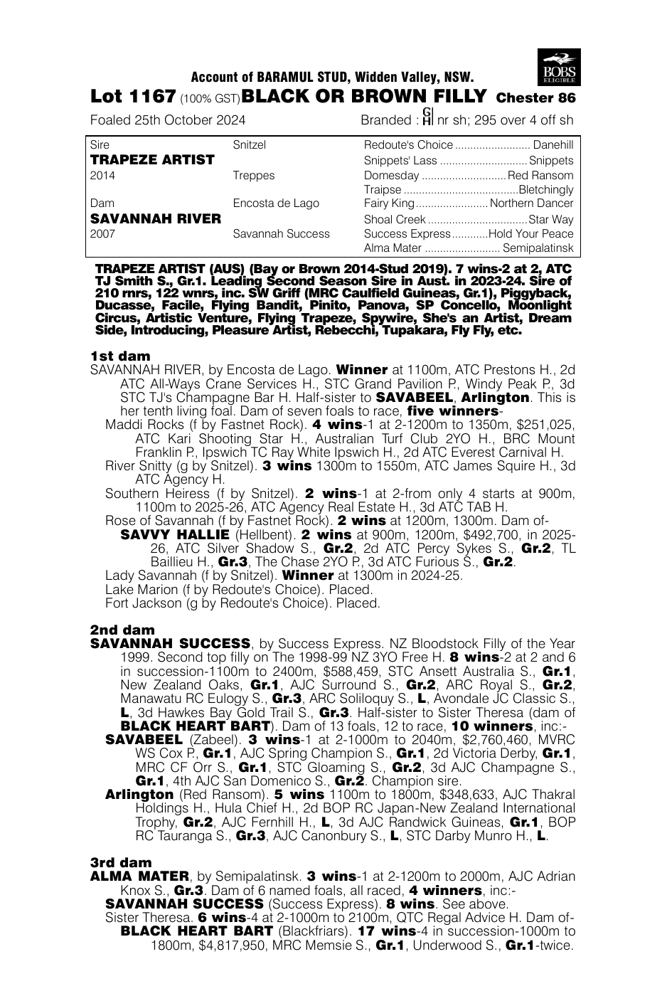 Pedigree - Lot 1167