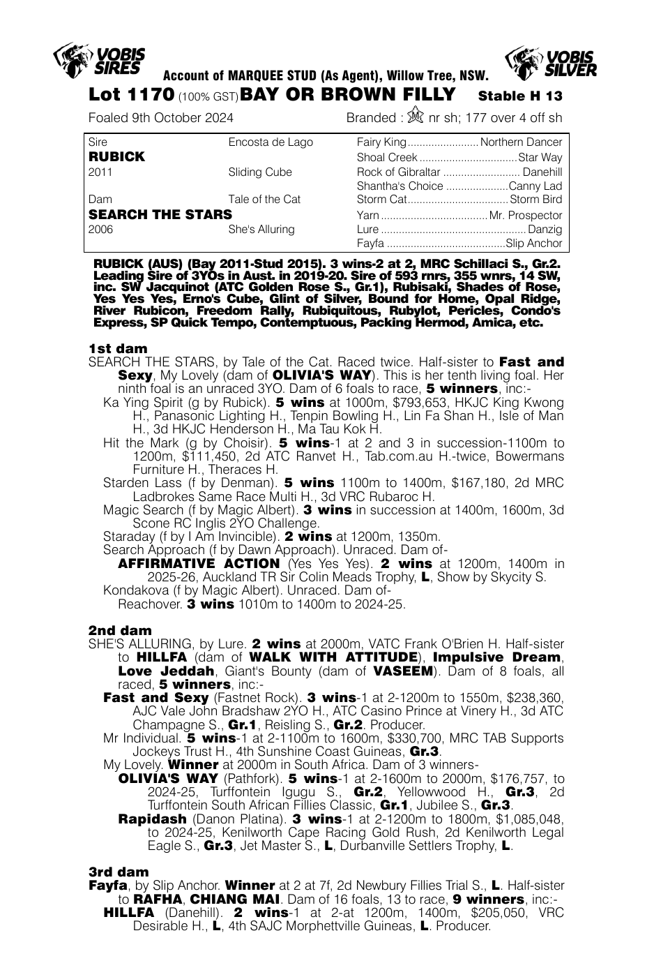 Pedigree - Lot 1170