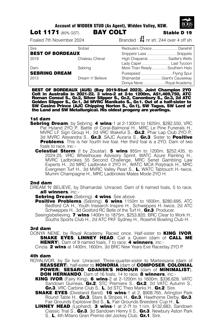 Pedigree - Lot 1171