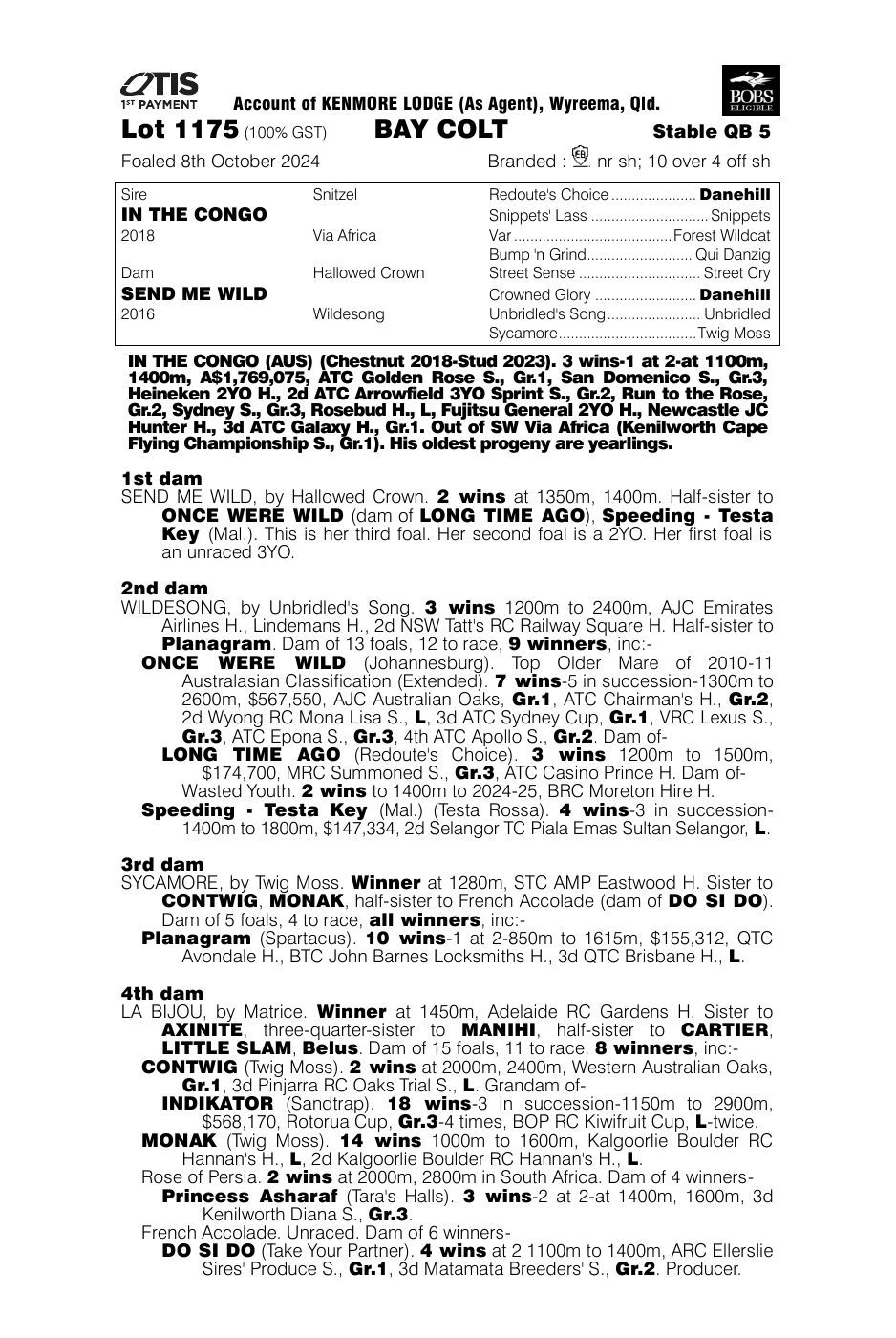Pedigree - Lot 1175