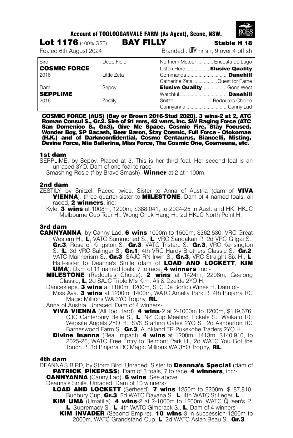 Pedigree - Lot 1176