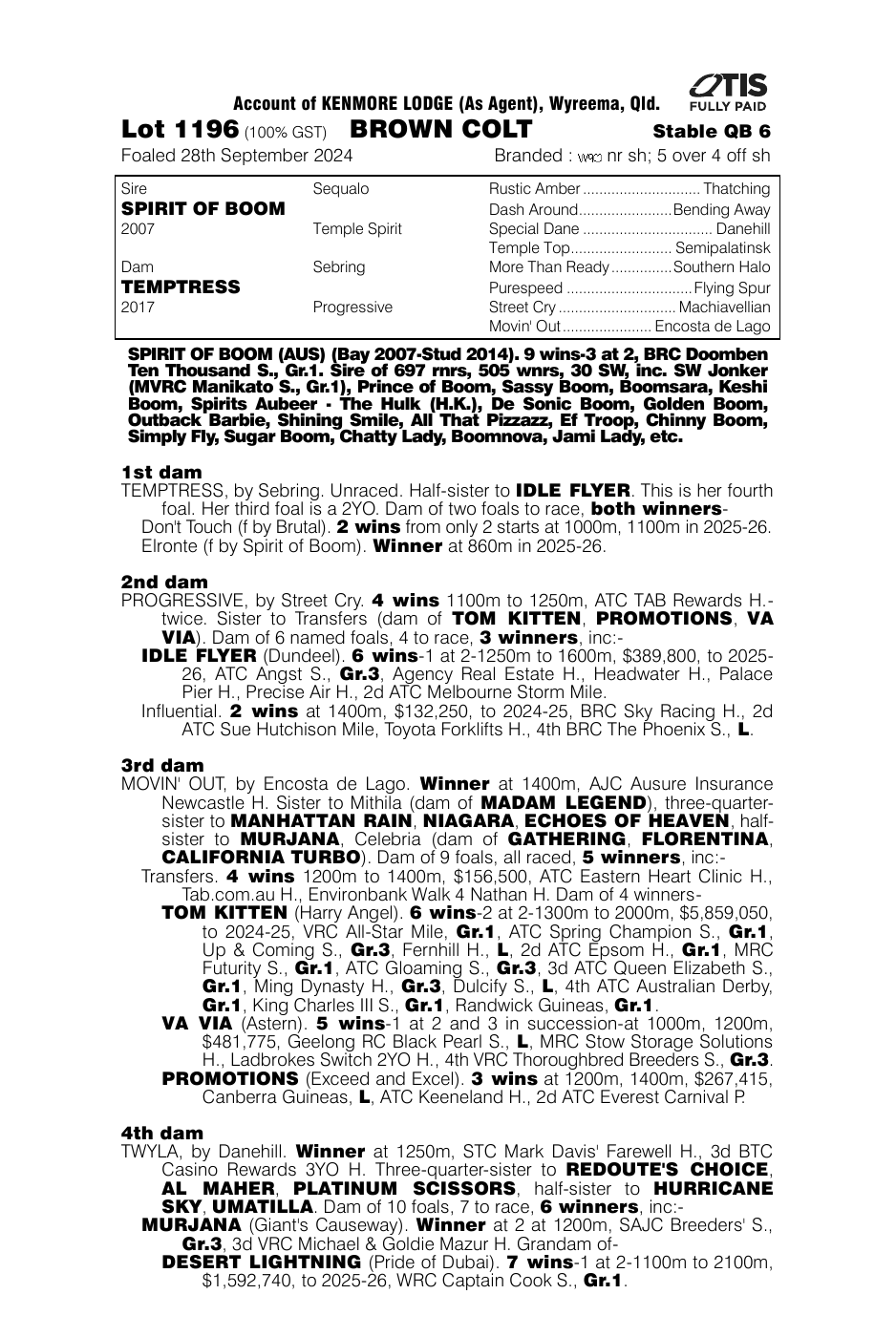 Pedigree - Lot 1196