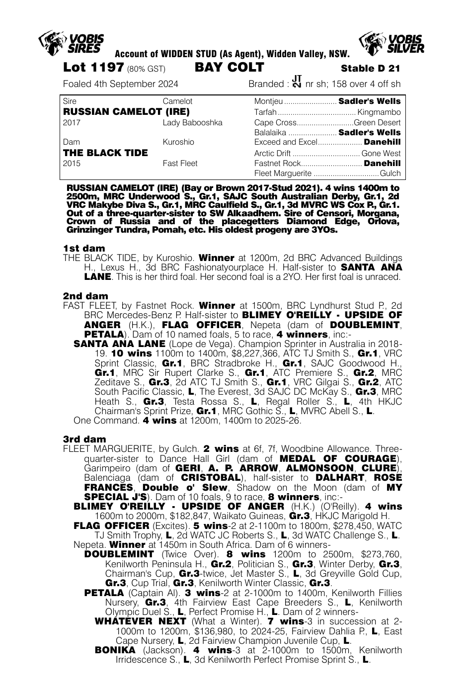 Pedigree - Lot 1197