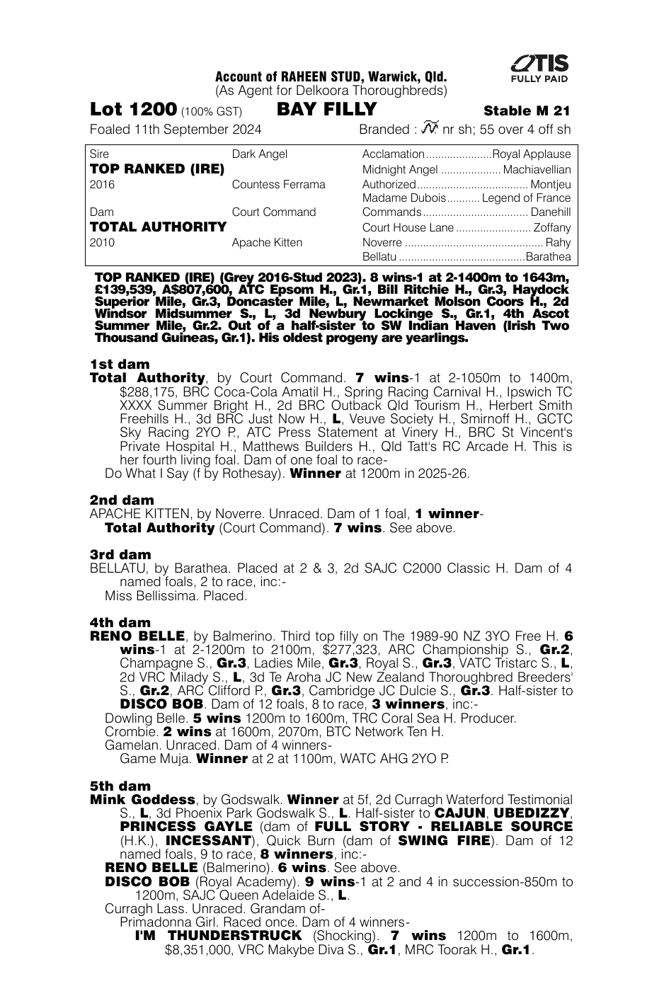 Pedigree - Lot 1200
