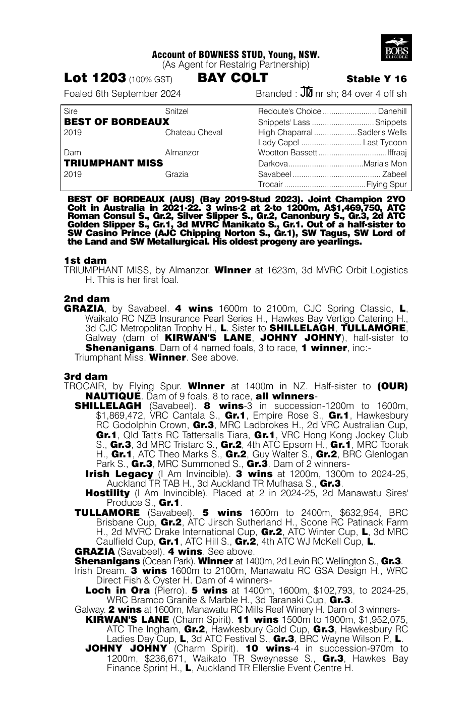 Pedigree - Lot 1203