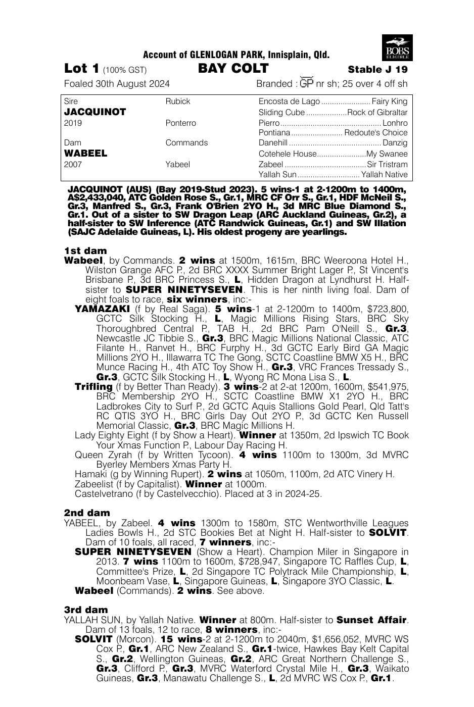Pedigree - Lot 1