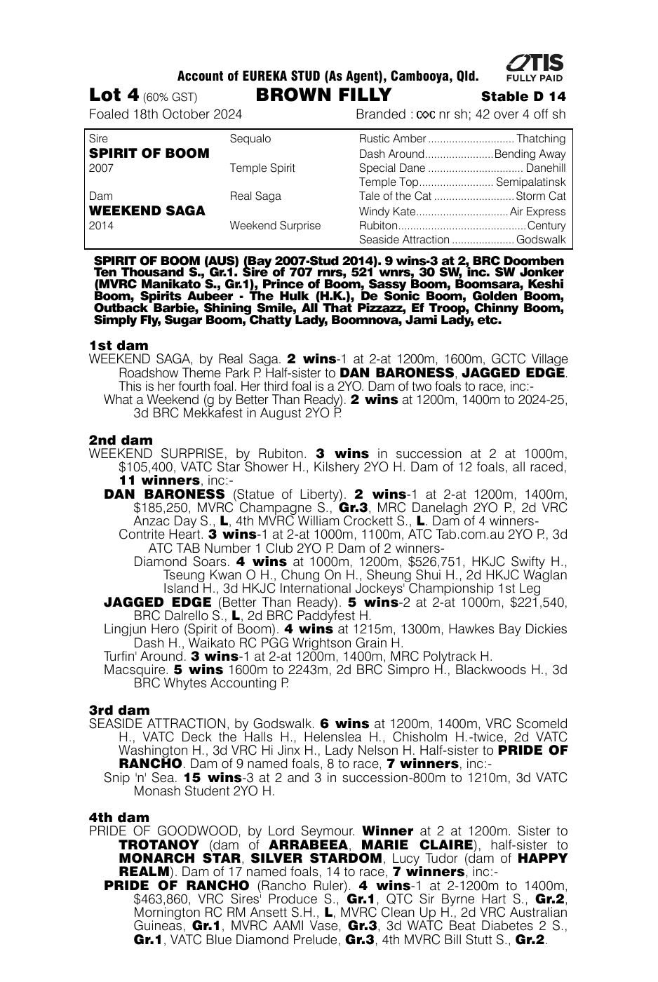 Pedigree - Lot 4
