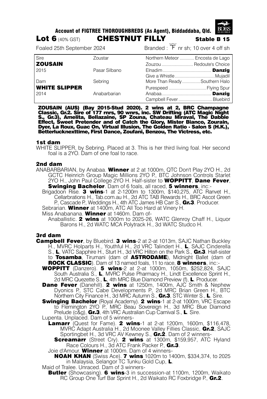 Pedigree - Lot 6