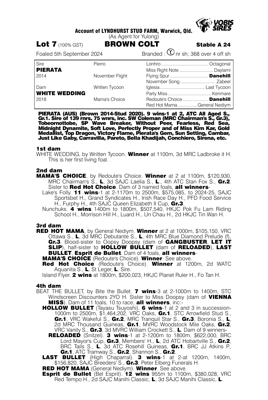 Pedigree - Lot 7
