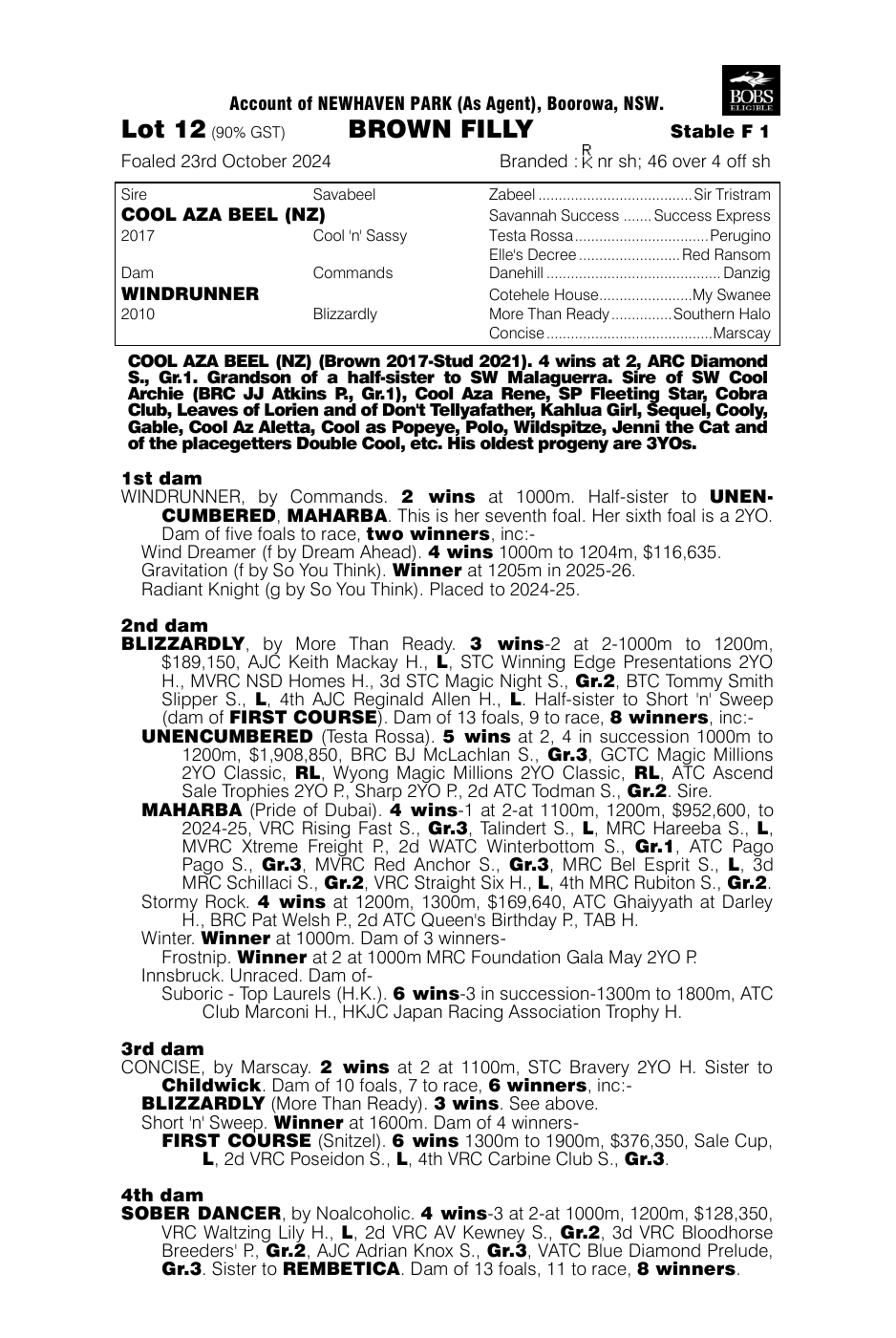 Pedigree - Lot 12