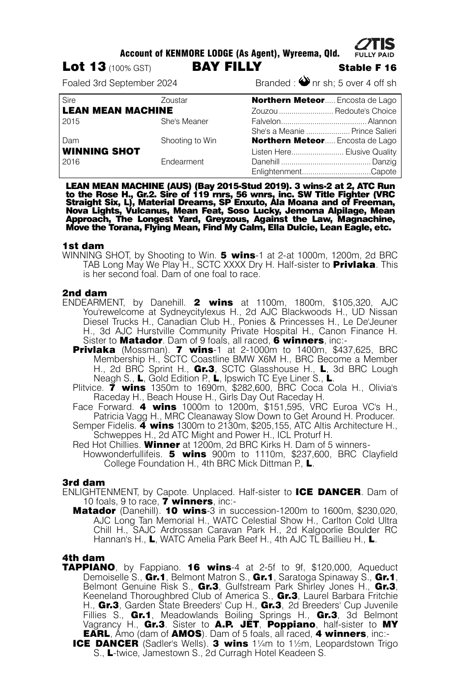 Pedigree - Lot 13
