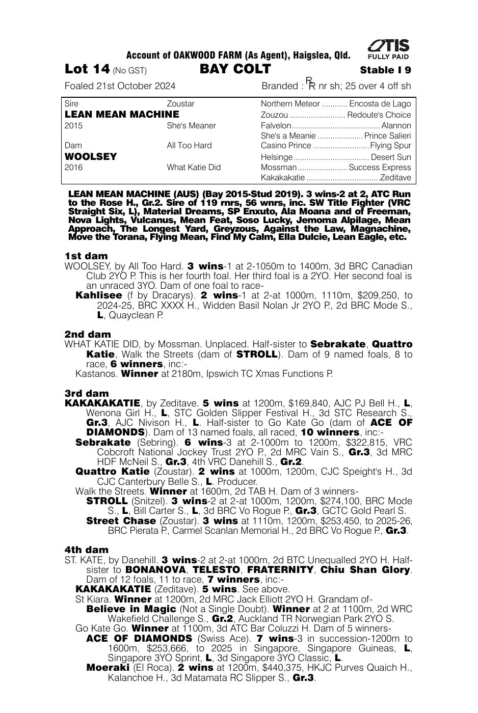 Pedigree - Lot 14