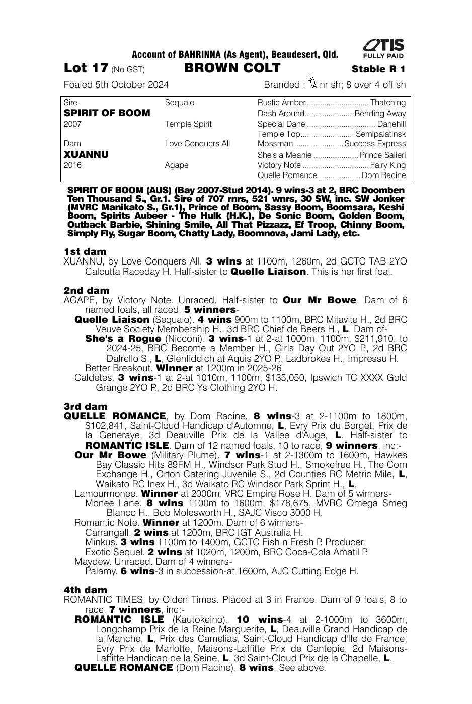 Pedigree - Lot 17