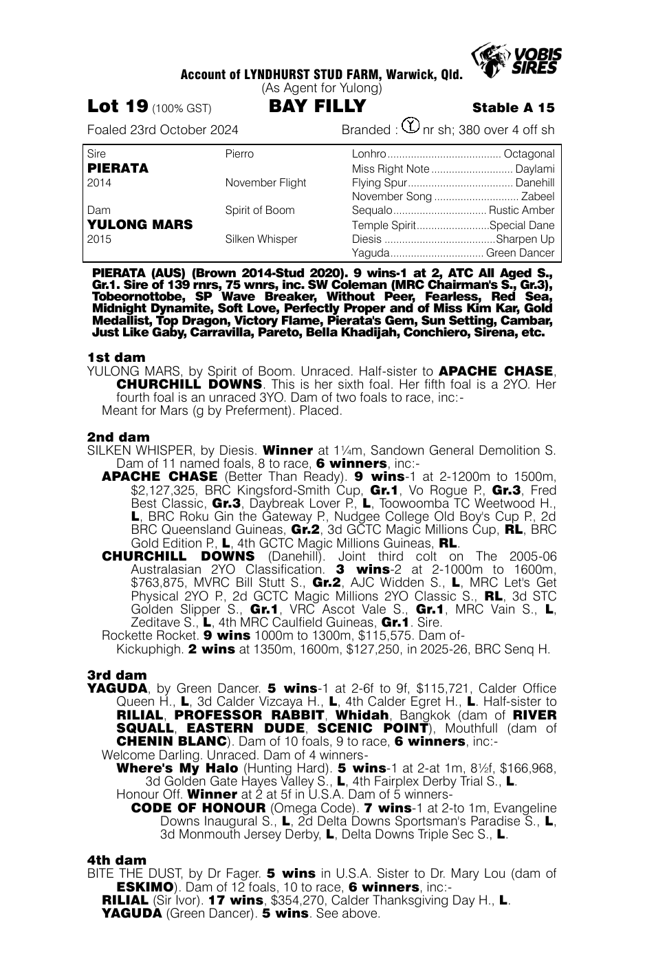 Pedigree - Lot 19