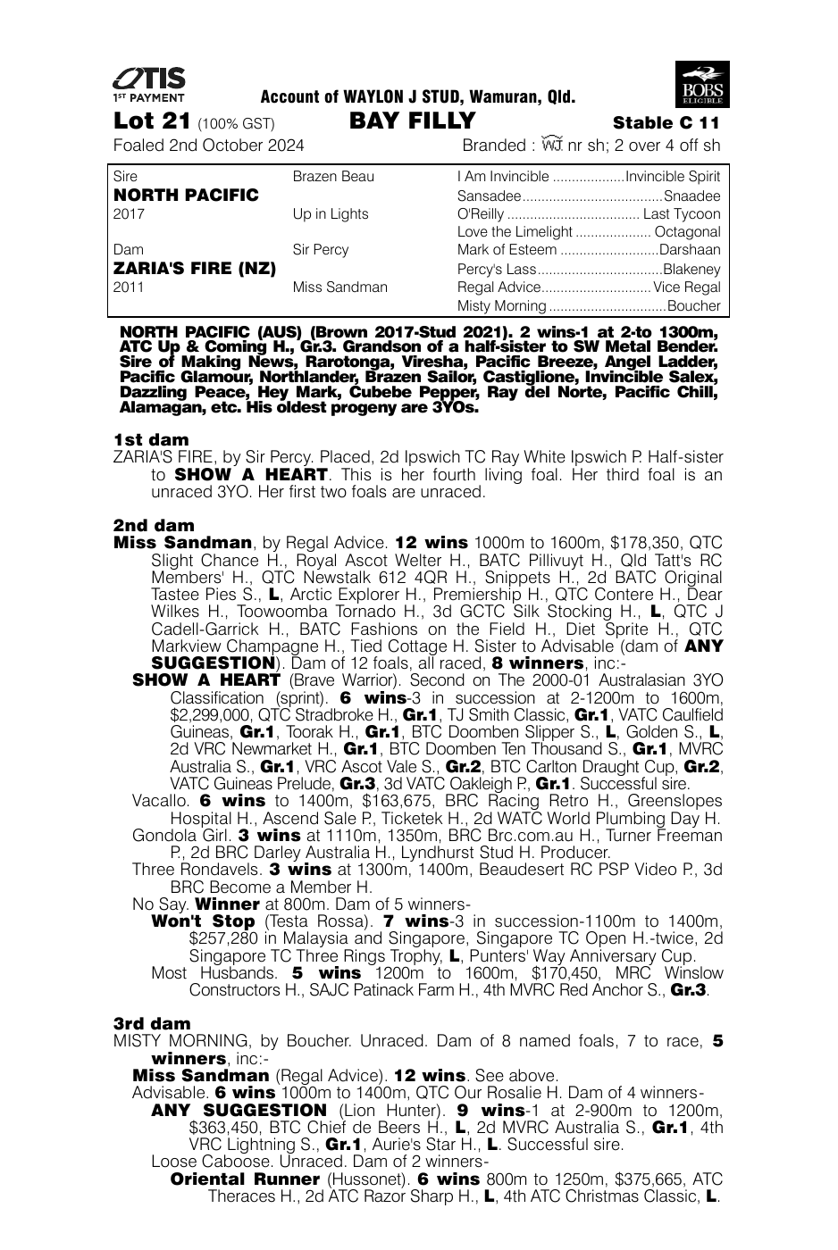 Pedigree - Lot 21