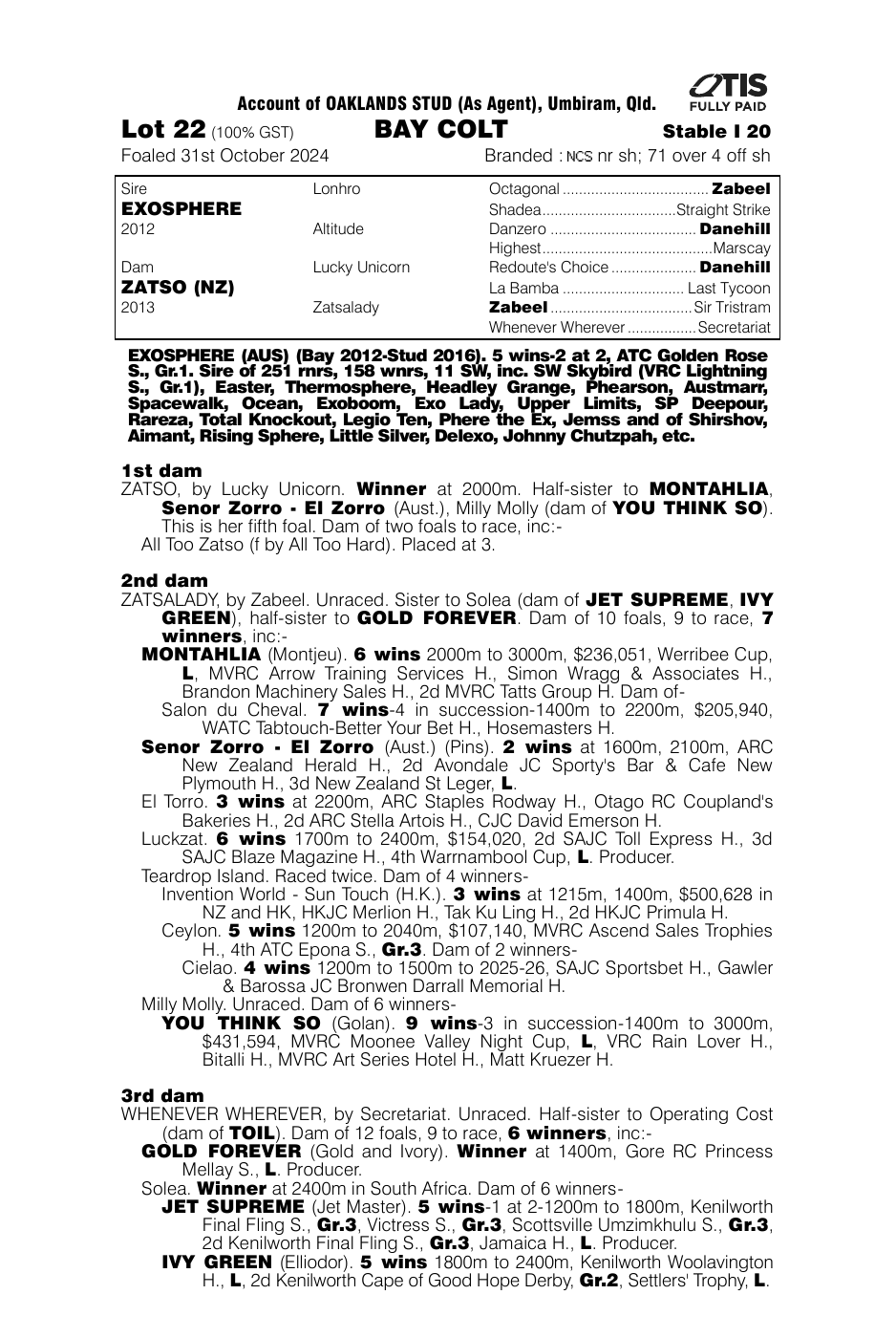 Pedigree - Lot 22
