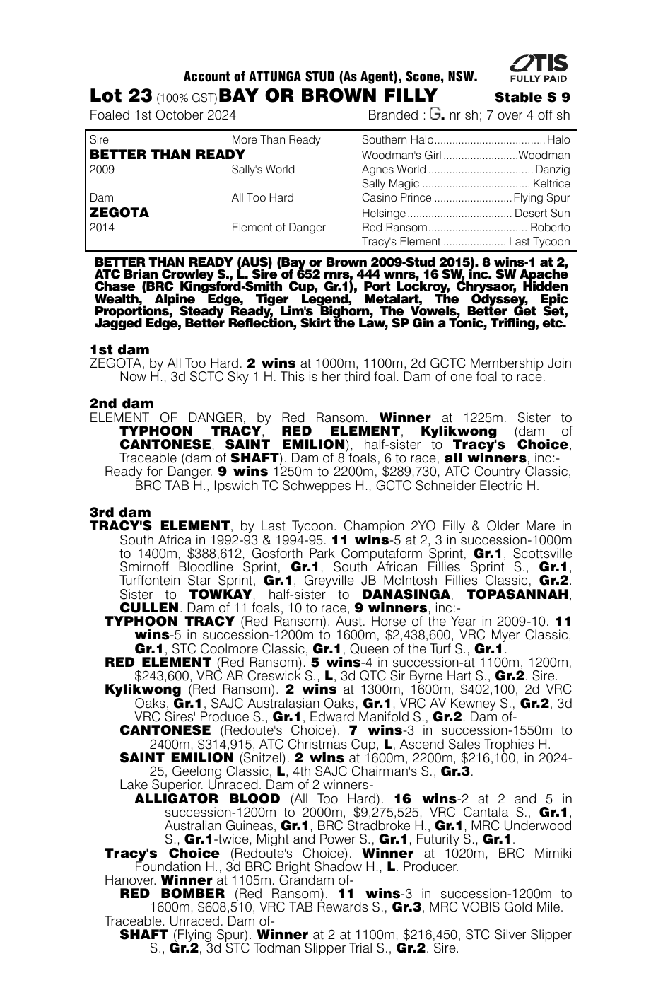 Pedigree - Lot 23