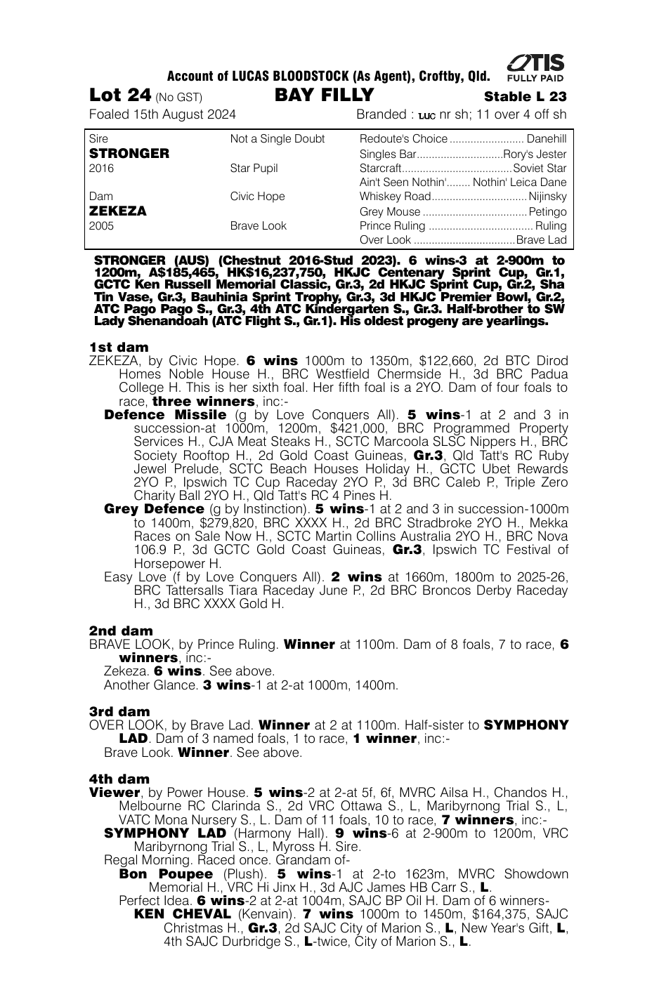 Pedigree - Lot 24