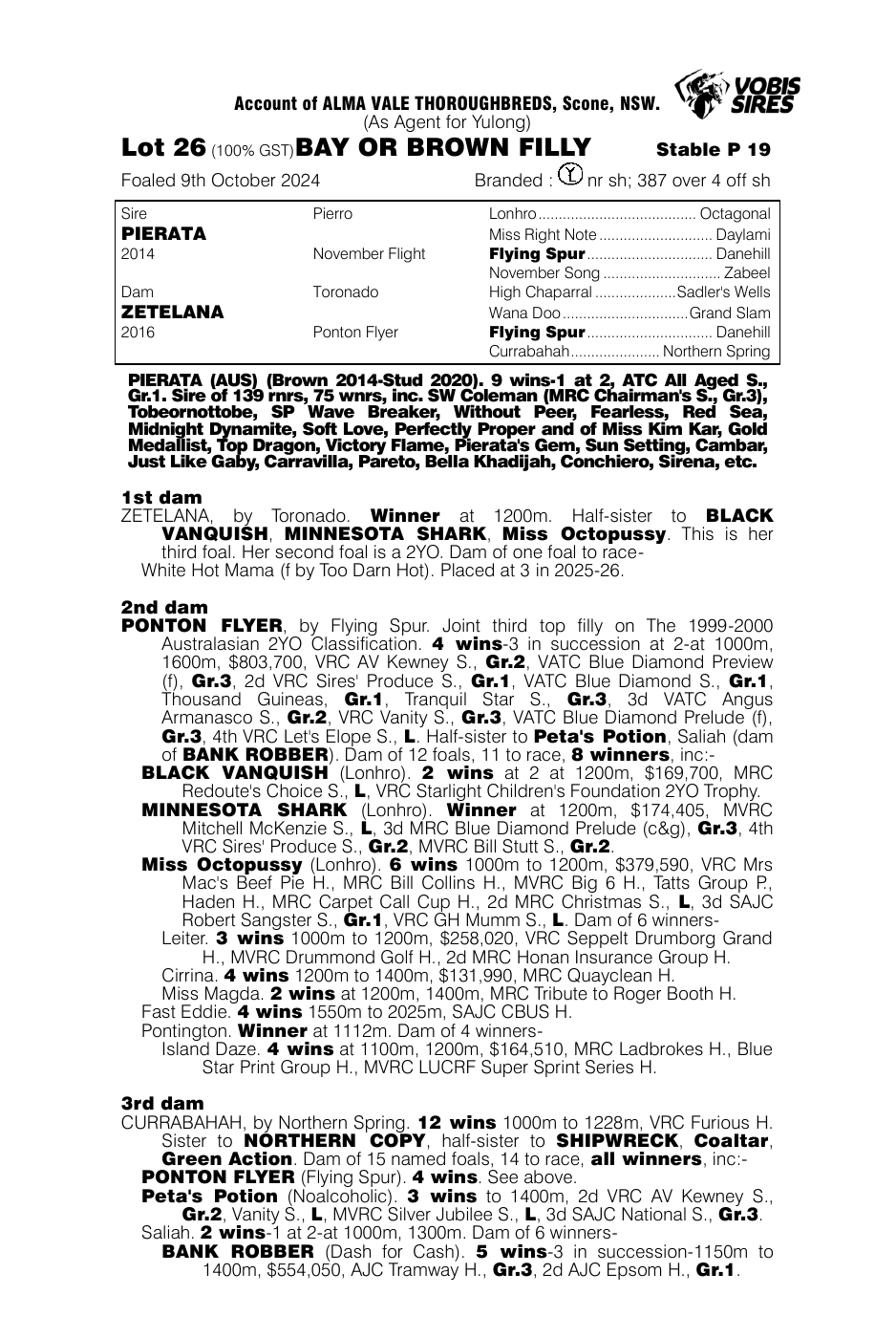 Pedigree - Lot 26