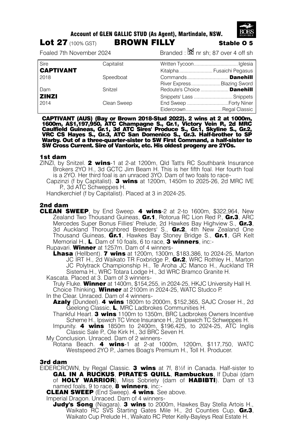 Pedigree - Lot 27