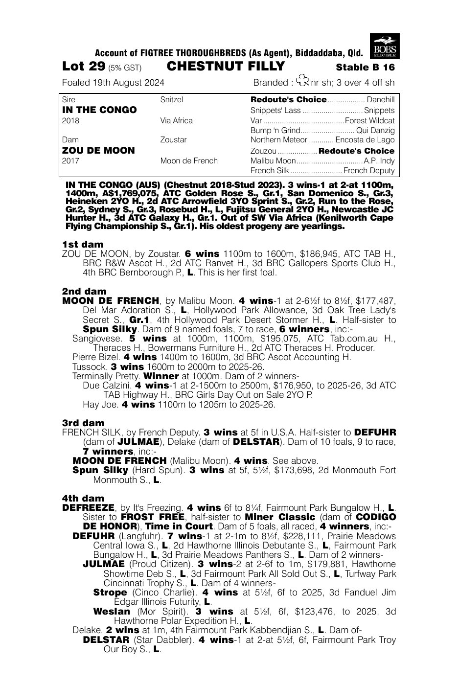 Pedigree - Lot 29