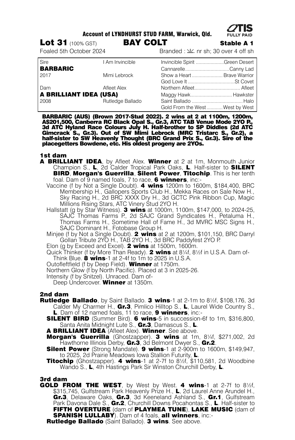 Pedigree - Lot 31