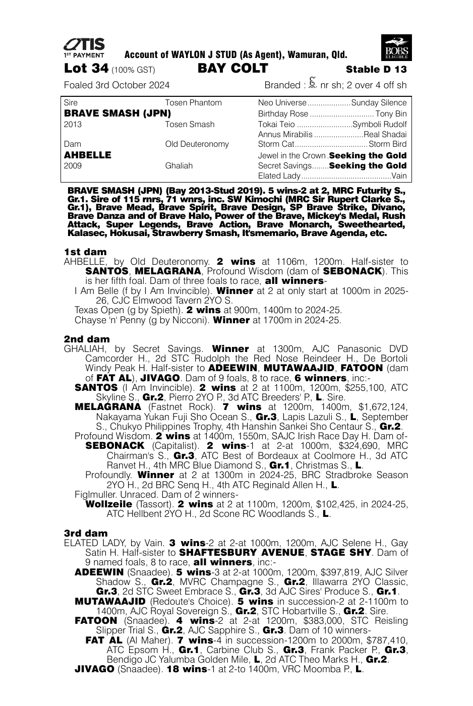 Pedigree - Lot 34