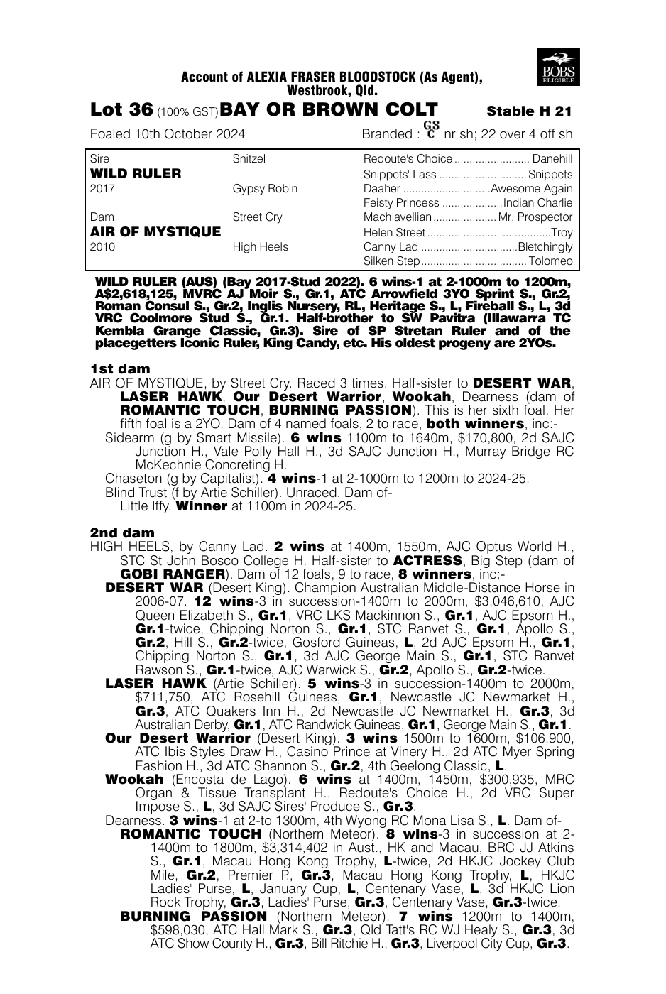 Pedigree - Lot 36