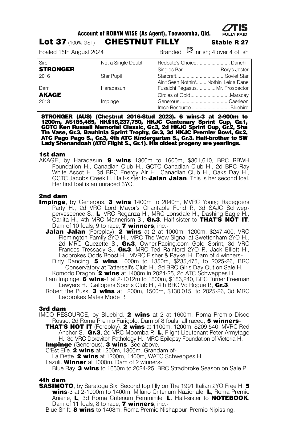 Pedigree - Lot 37