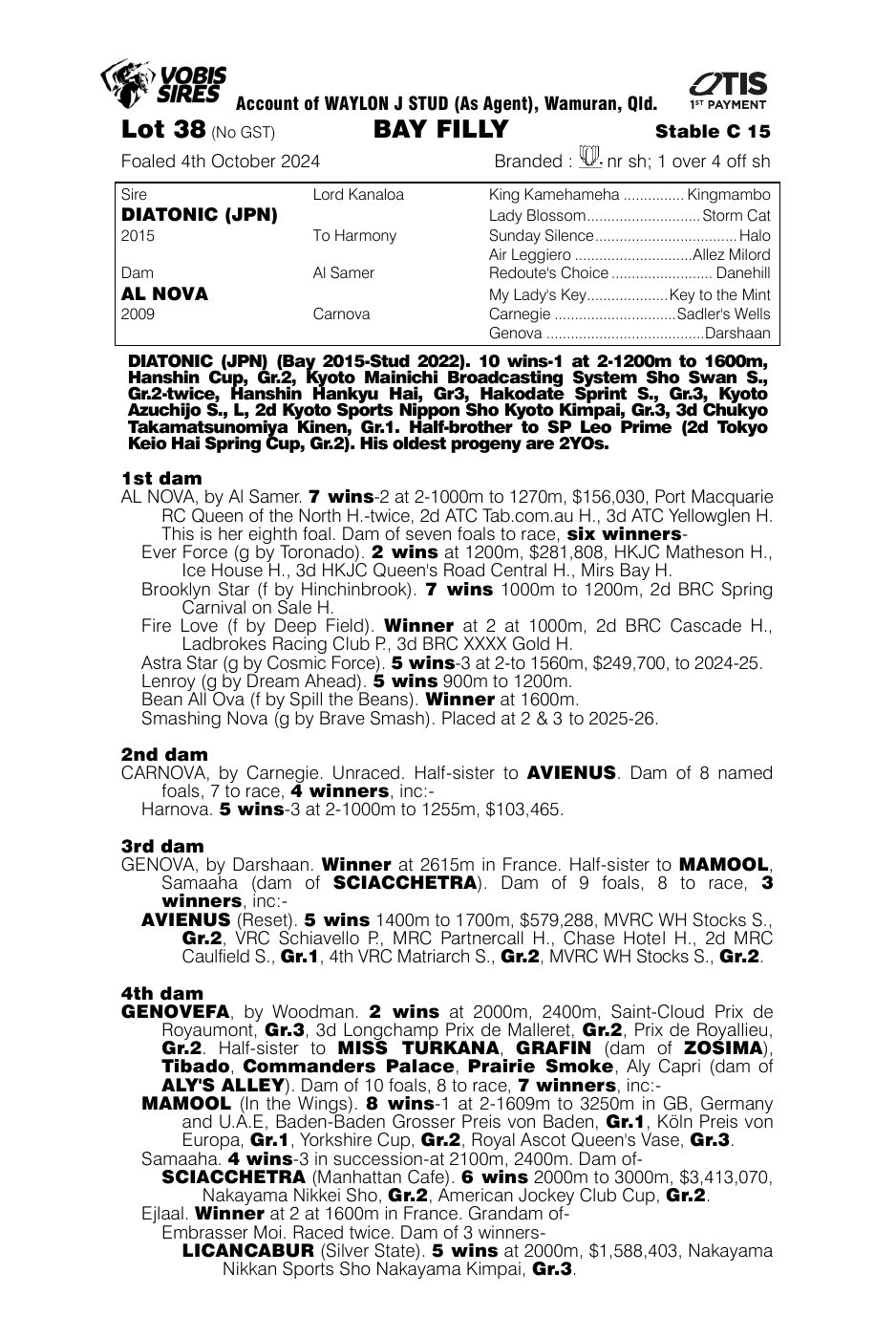 Pedigree - Lot 38
