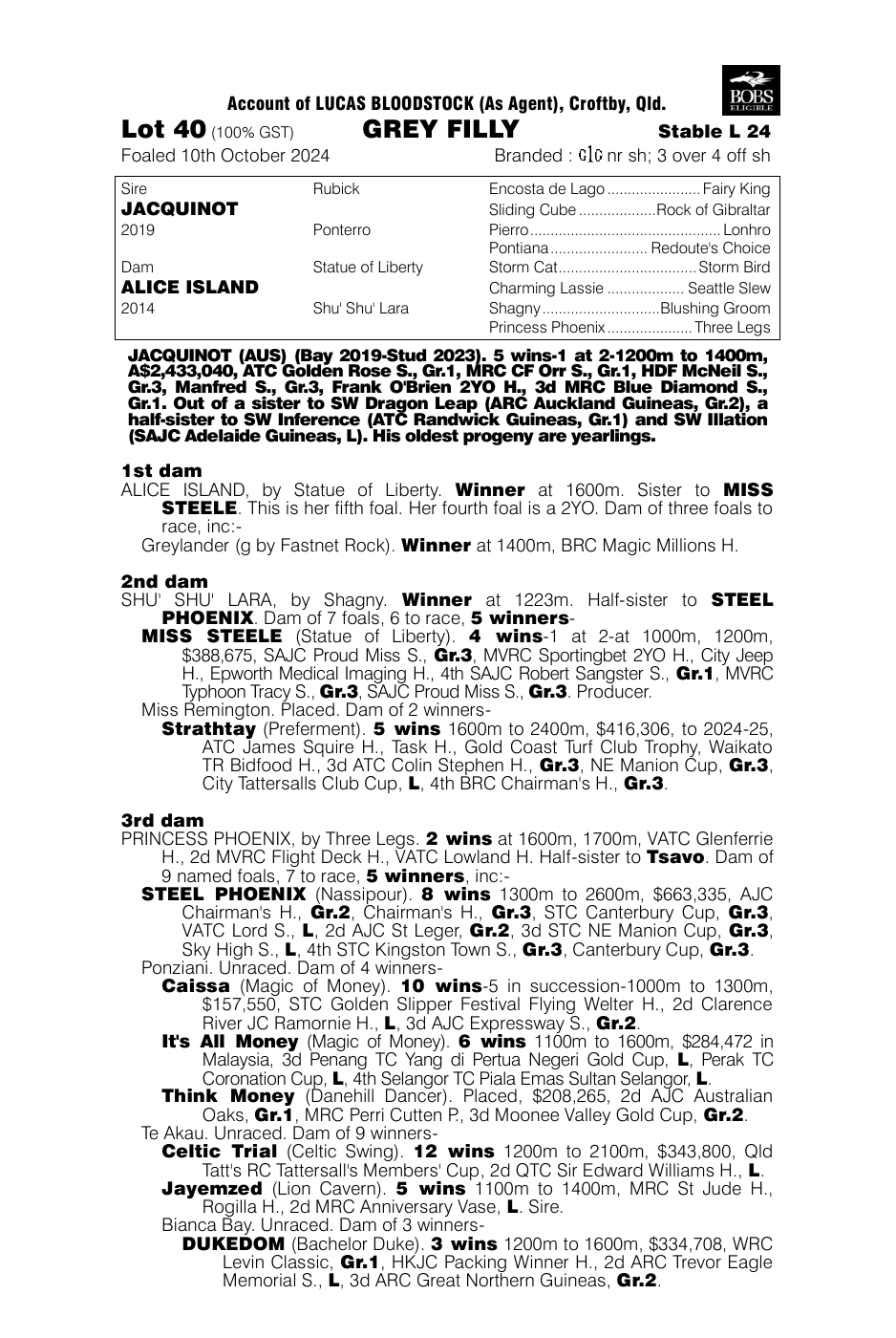 Pedigree - Lot 40