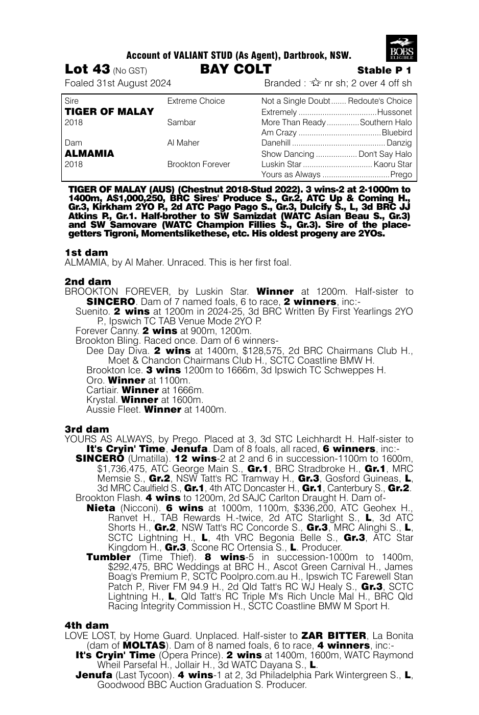 Pedigree - Lot 43