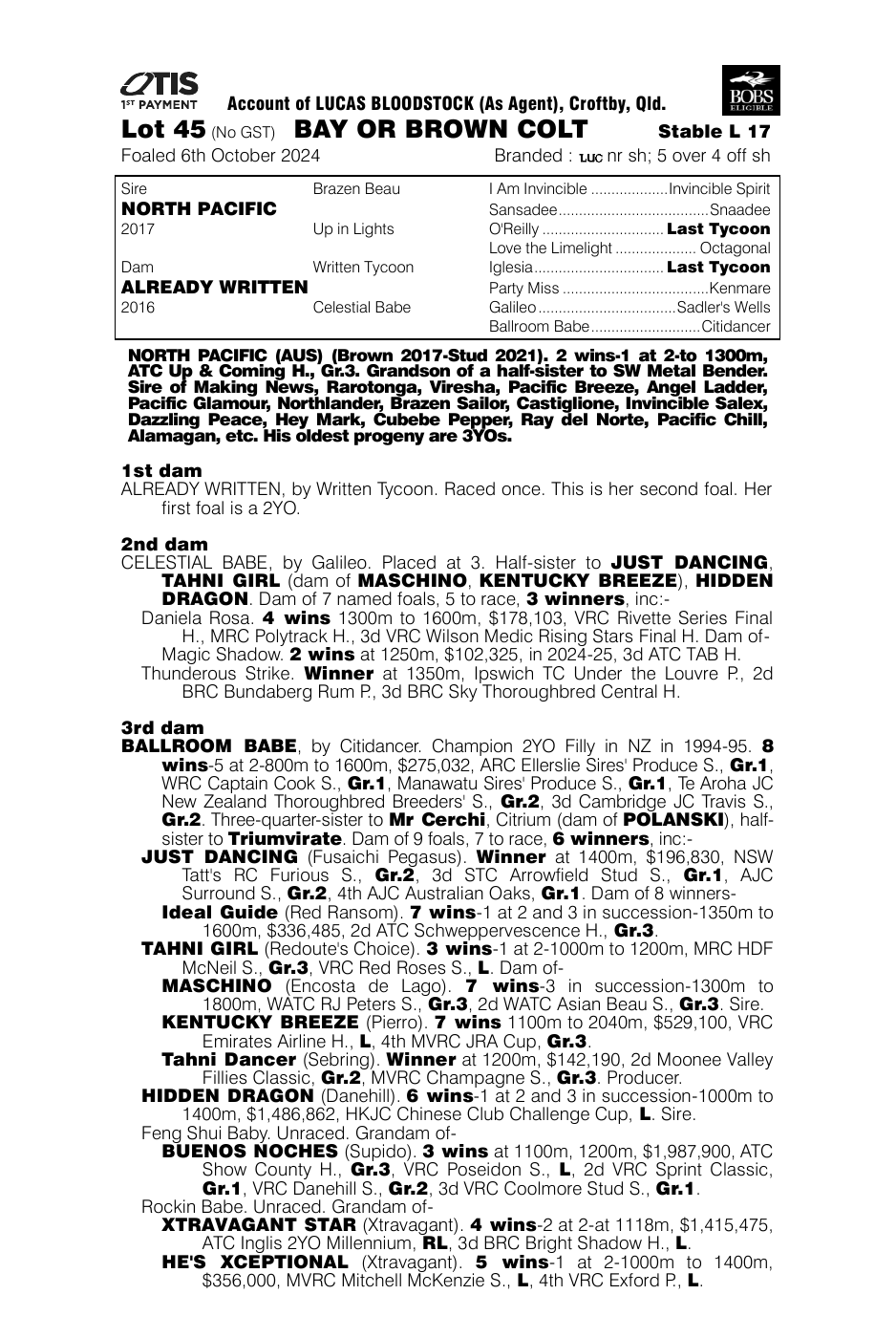 Pedigree - Lot 45