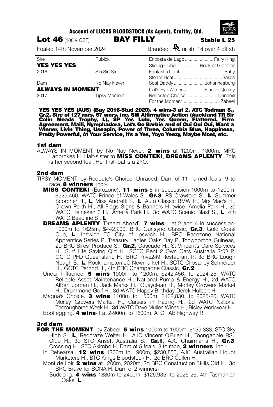 Pedigree - Lot 46