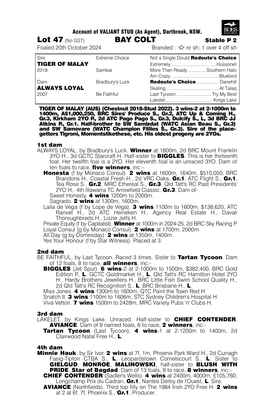 Pedigree - Lot 47