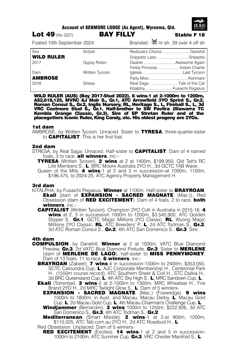 Pedigree - Lot 49