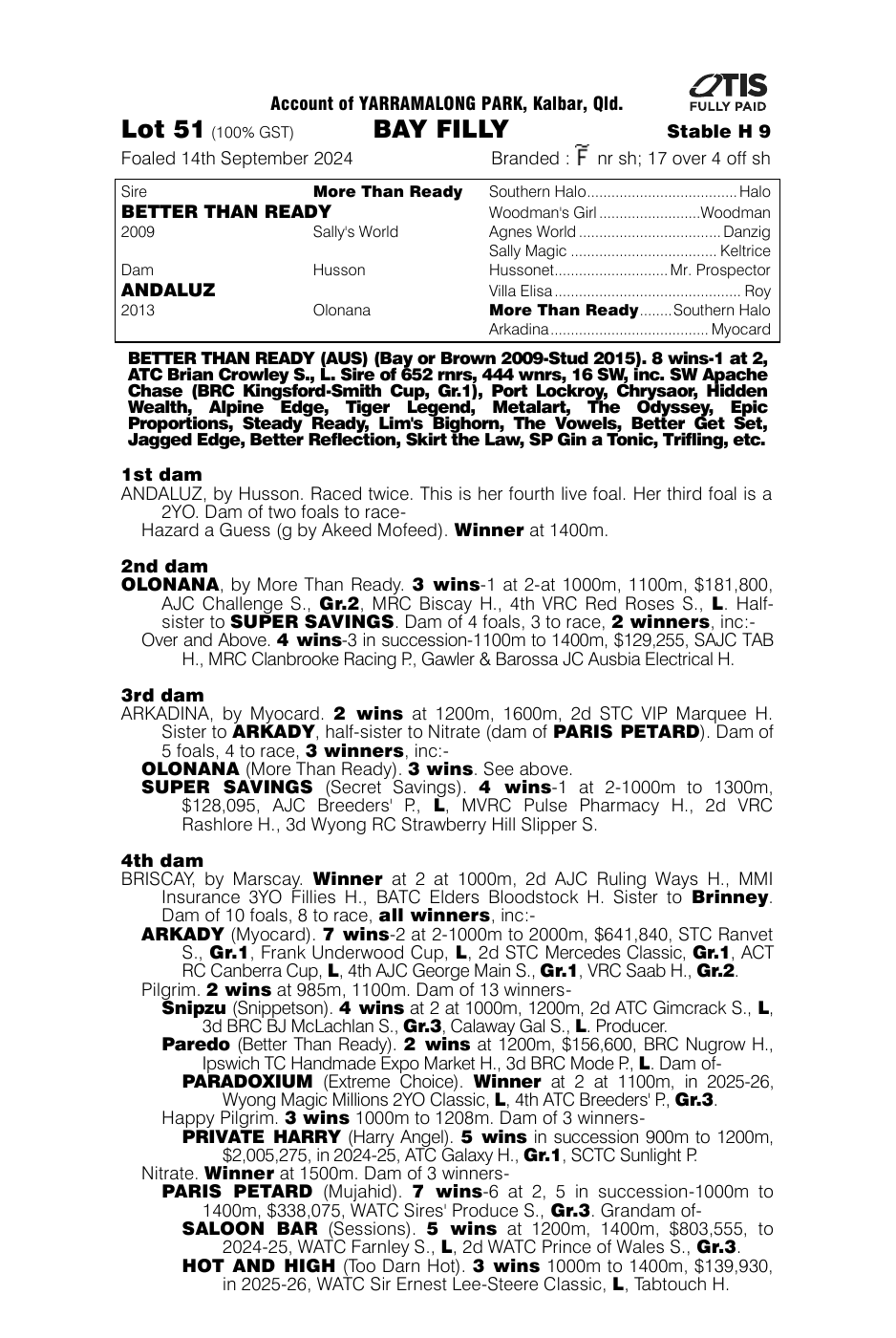Pedigree - Lot 51