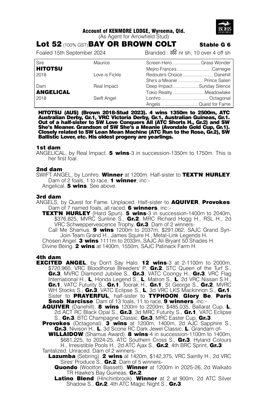 Pedigree - Lot 52