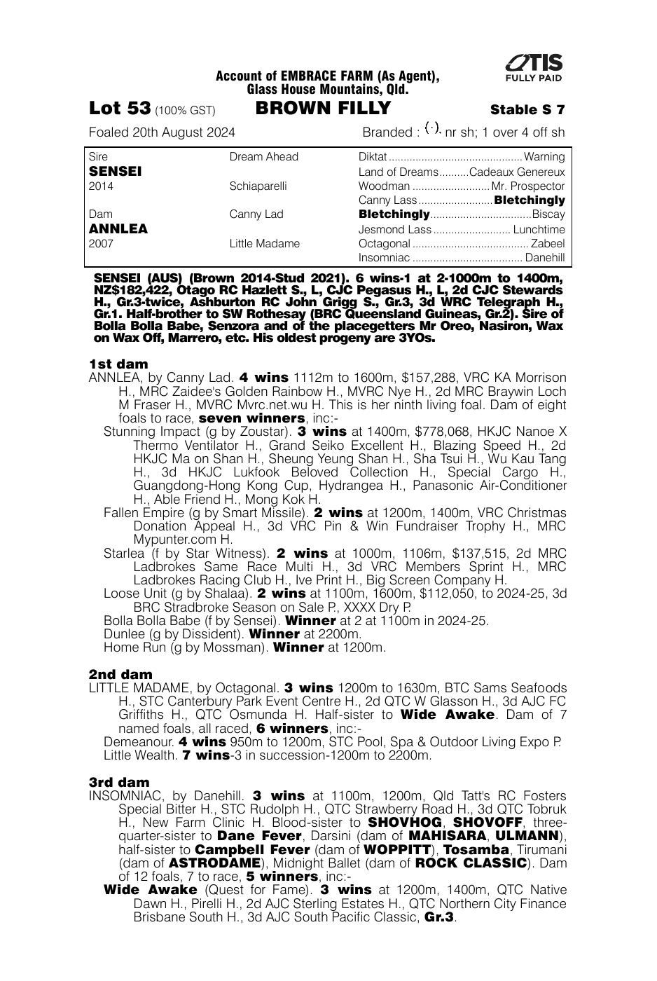 Pedigree - Lot 53