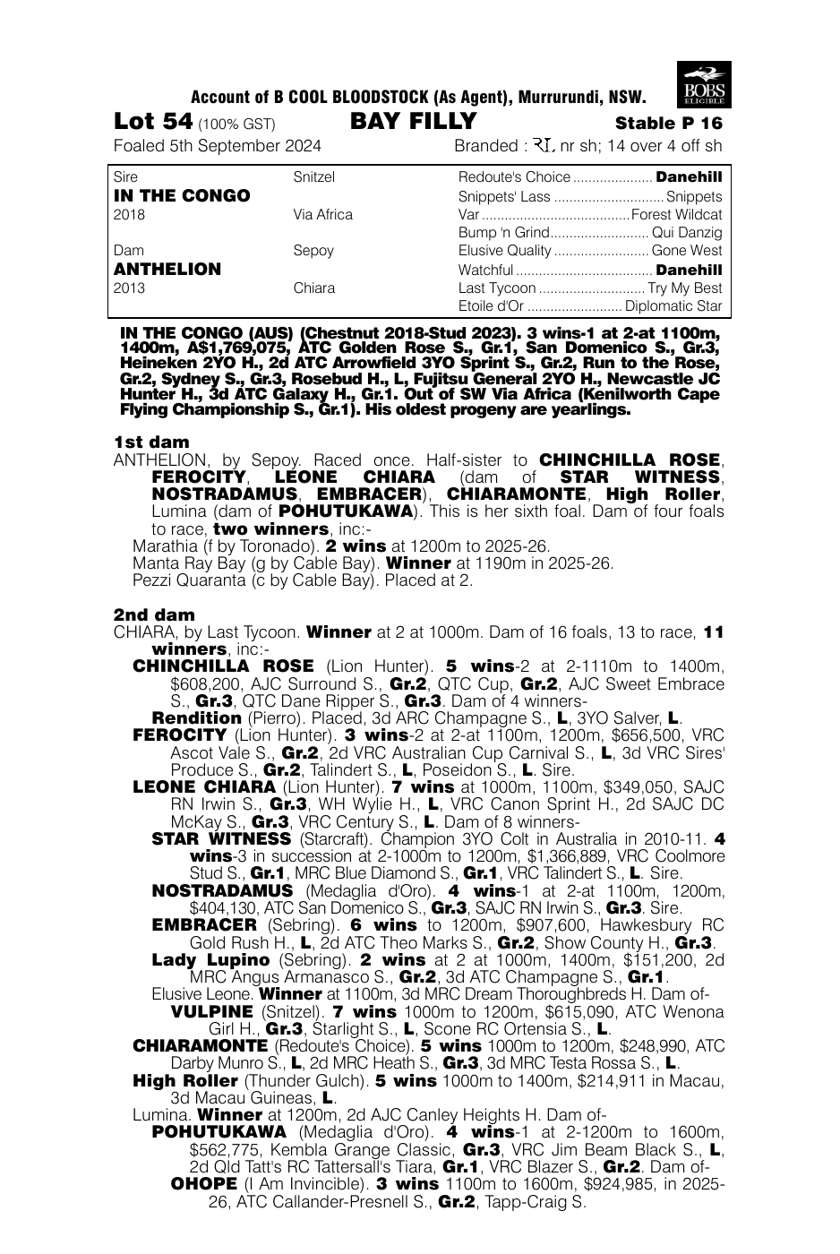 Pedigree - Lot 54