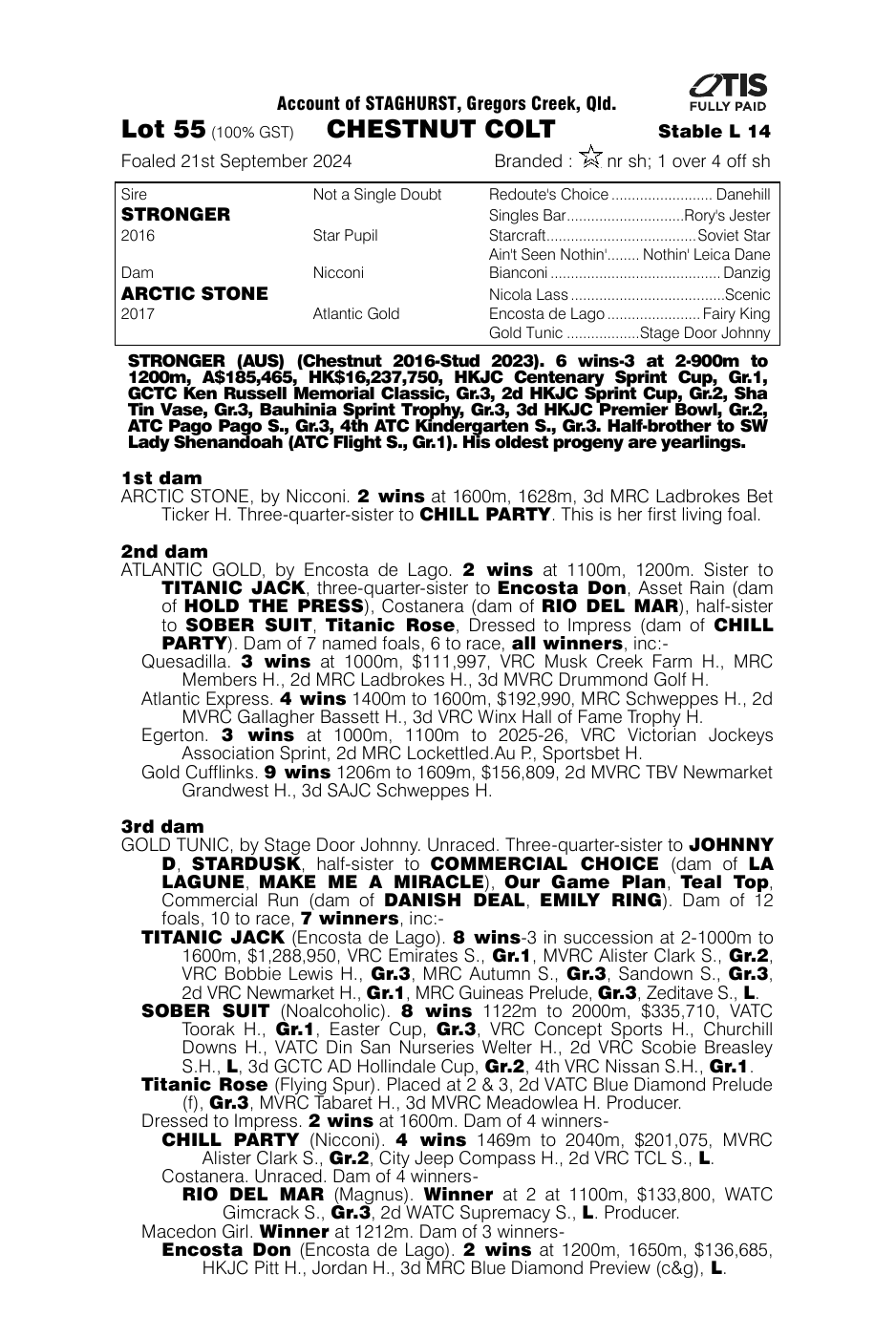 Pedigree - Lot 55