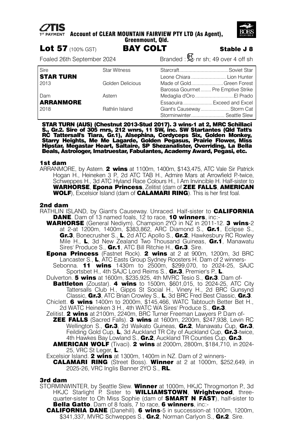 Pedigree - Lot 57