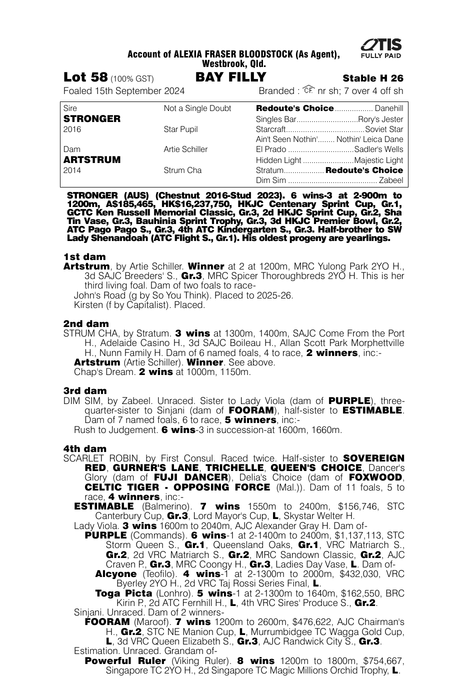 Pedigree - Lot 58