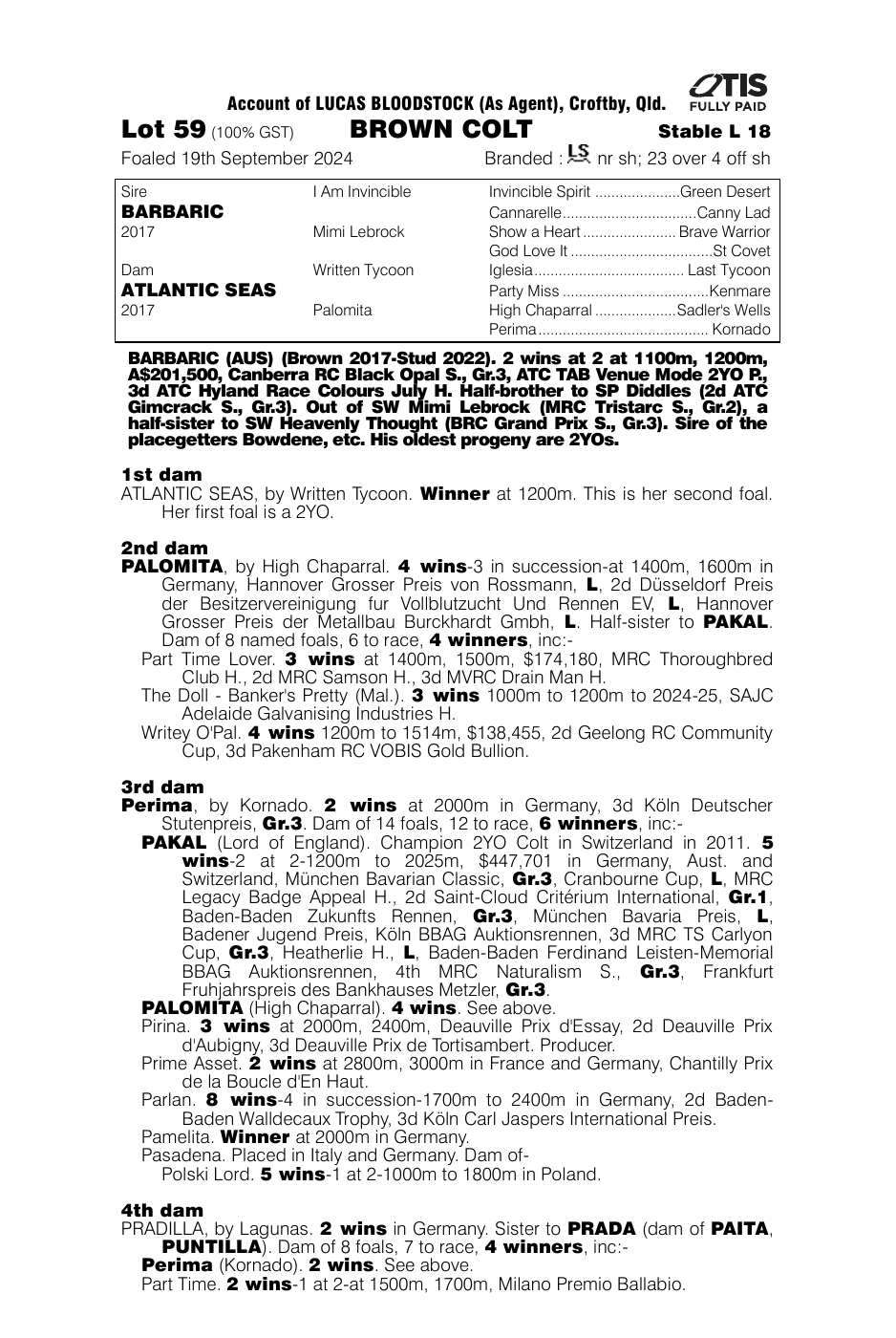 Pedigree - Lot 59