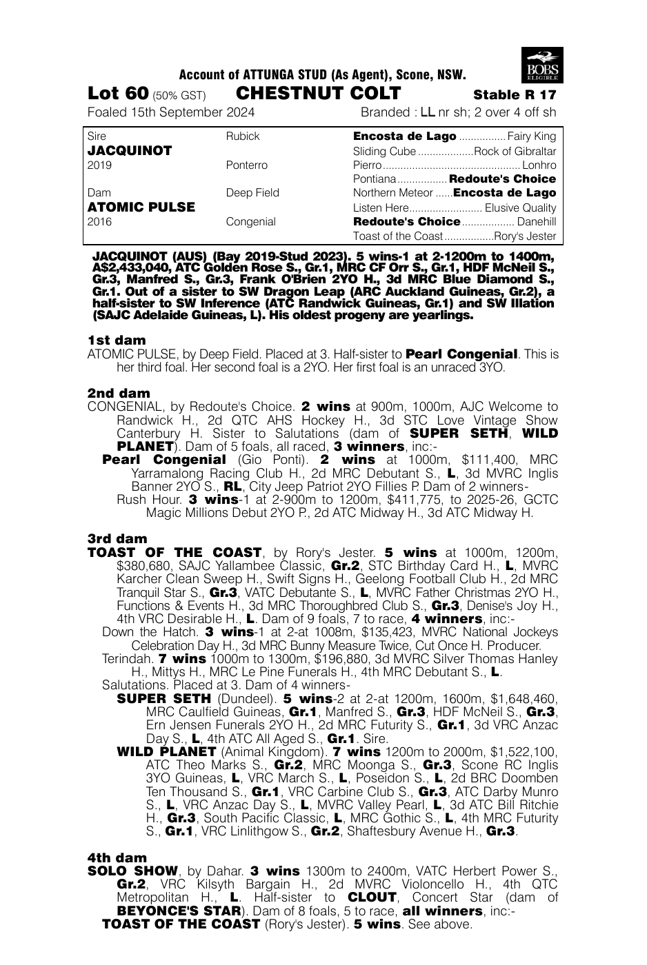 Pedigree - Lot 60